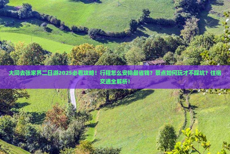 大同去张家界二日游