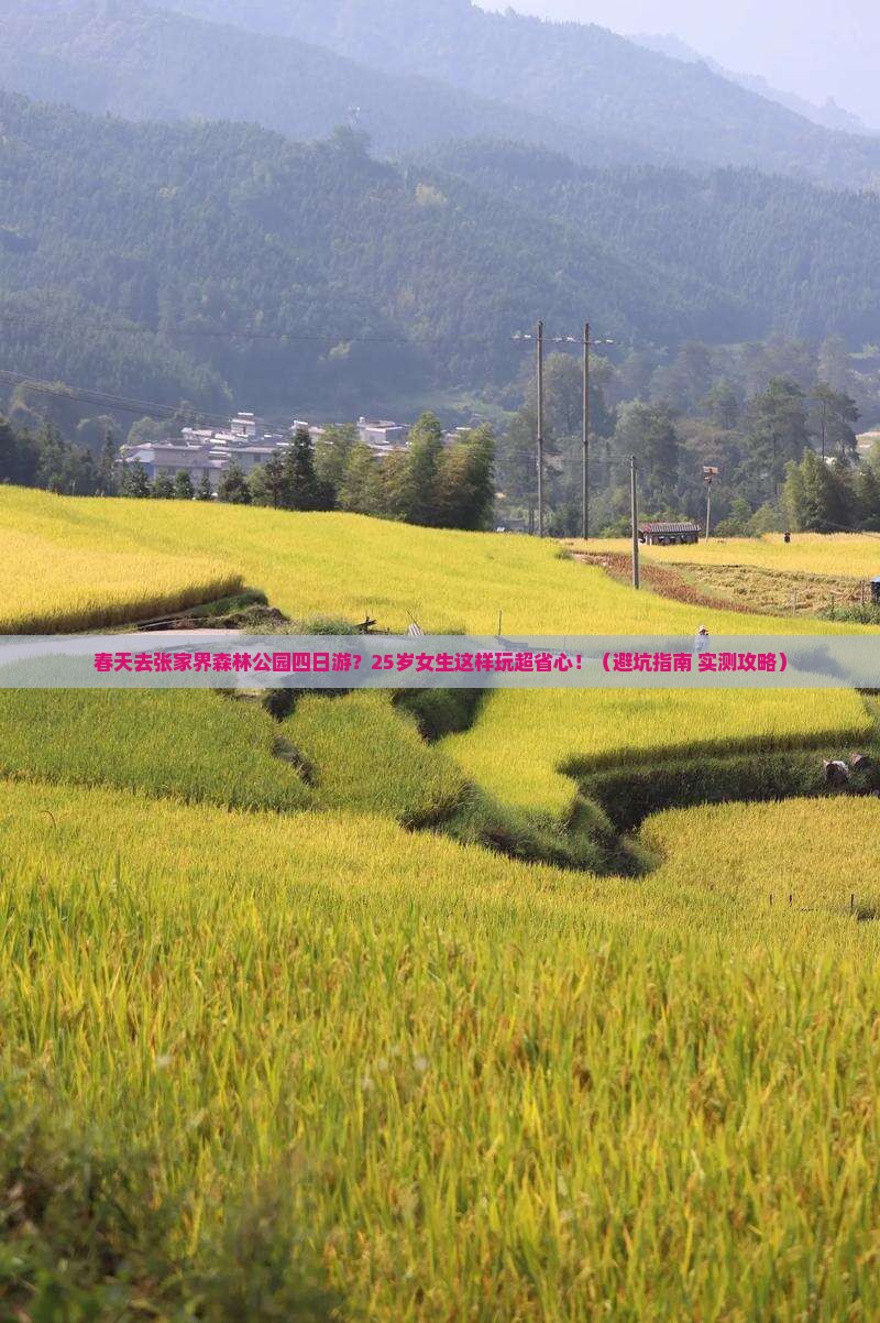 春天去张家界森林公园四日游
