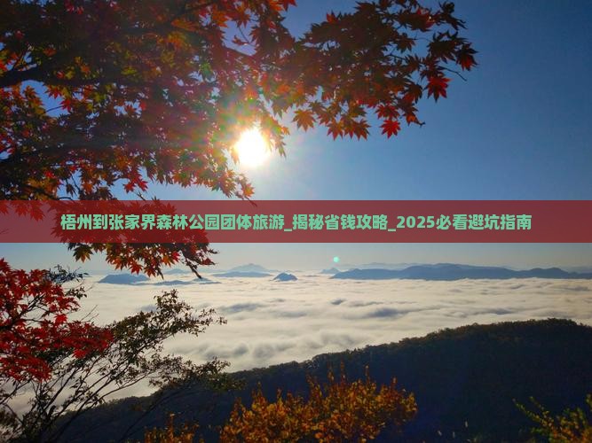 梧州到张家界森林公园团体旅游