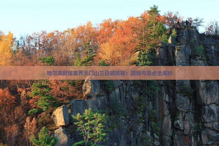 哈尔滨到张家界天门山三日游
