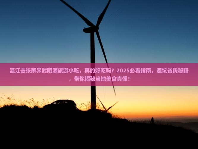 湛江去张家界武陵源旅游小吃