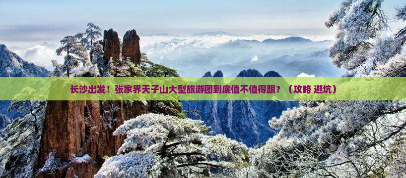 长沙去张家界天子山大型旅游团