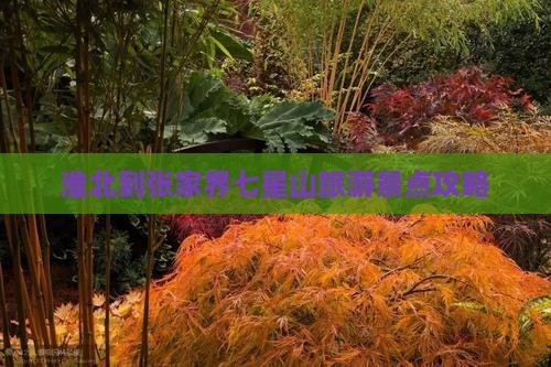 淮北到张家界七星山景点