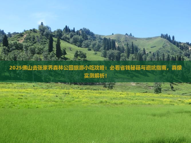 佛山去张家界森林公园旅游小吃