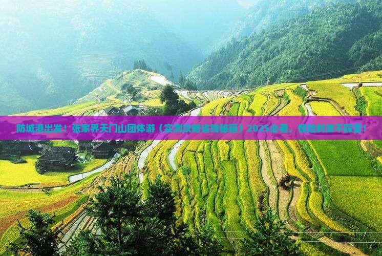 防城港到张家界天门山团体旅游