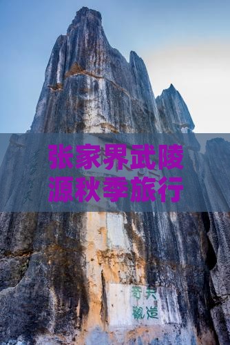 秋天去张家界武陵源攻略