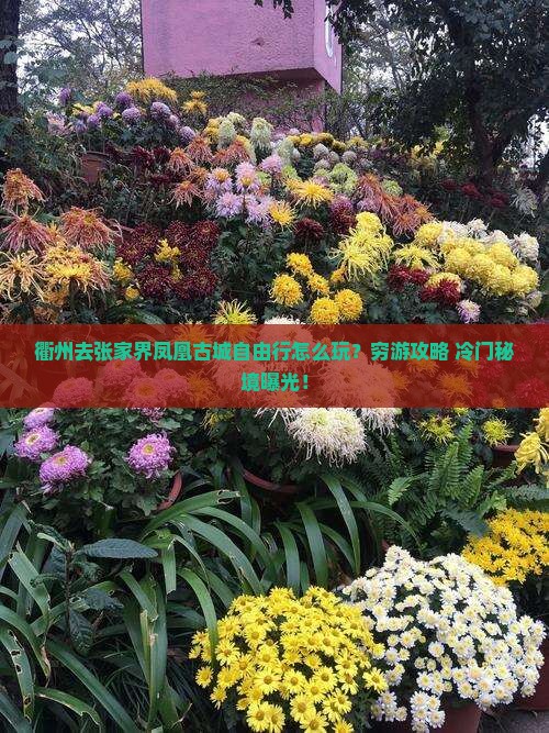 衢州去张家界凤凰古城自由行