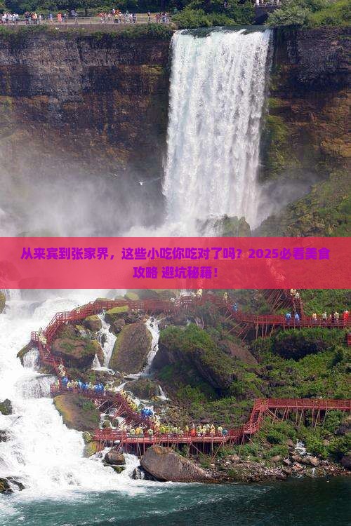 来宾到张家界森林公园旅游小吃