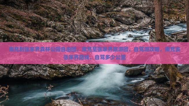 南充到张家界森林公园自由团