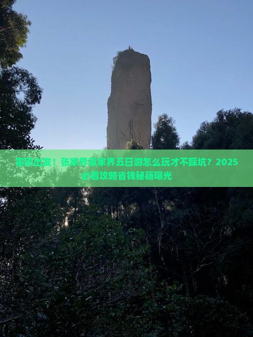 霍邱到张家界袁家界五日游