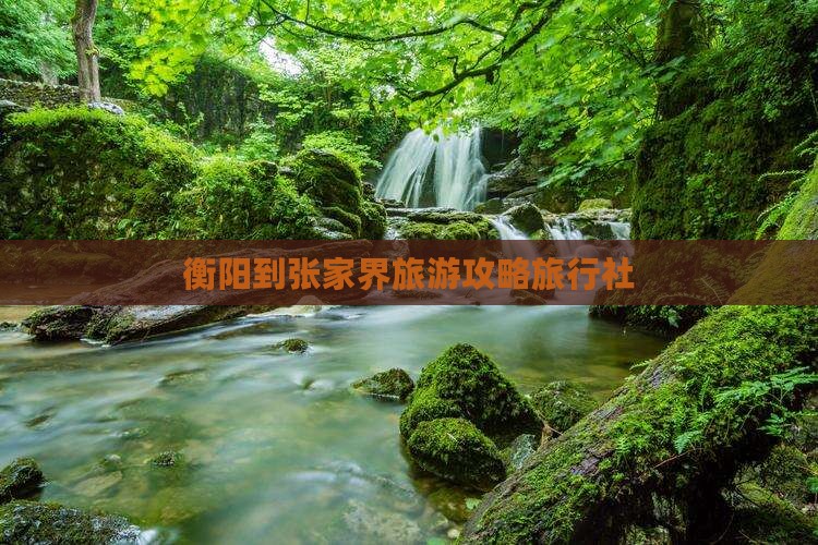 衡阳到张家界袁家界旅行社