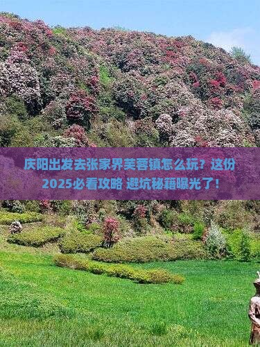 庆阳去张家界芙蓉镇旅行社
