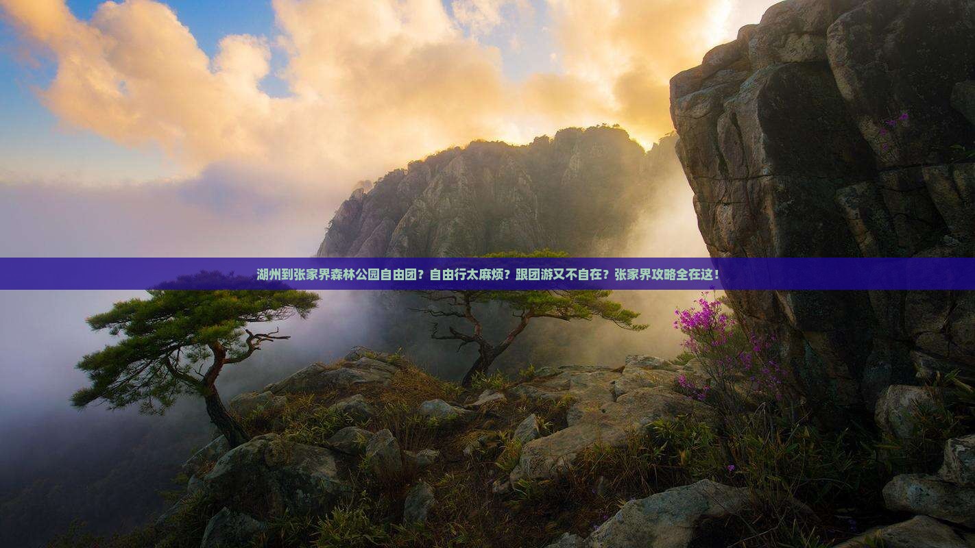 湖州到张家界森林公园自由团