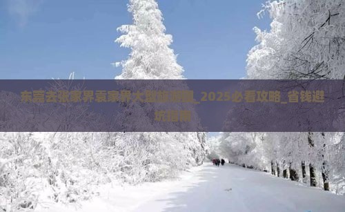 东莞去张家界袁家界大型旅游团