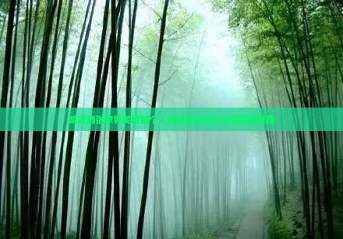 龙岩到张家界芙蓉镇个人游