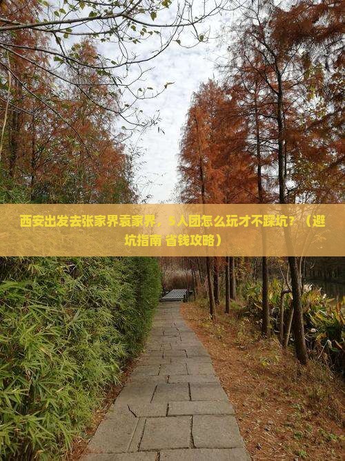 西安到张家界袁家界团体旅游