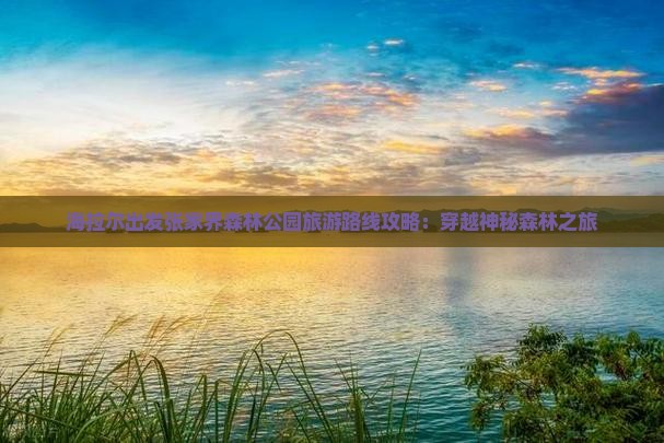 海拉尔出发张家界森林公园旅游路线攻略：穿越神秘森林之旅