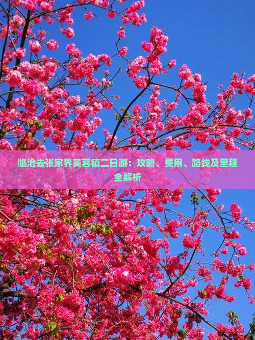 临沧去张家界芙蓉镇二日游：攻略、费用、路线及里程全解析