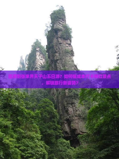 固原到张家界天子山五日游？如何低成本打卡网红景点，解锁旅行新姿势？