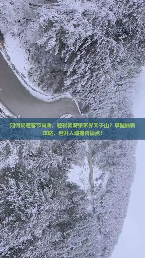 如何规避春节高峰，轻松畅游张家界天子山？掌握最新攻略，避开人潮拥挤痛点！
