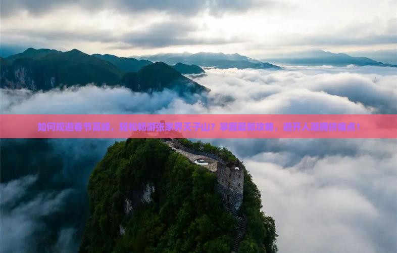 如何规避春节高峰，轻松畅游张家界天子山？掌握最新攻略，避开人潮拥挤痛点！