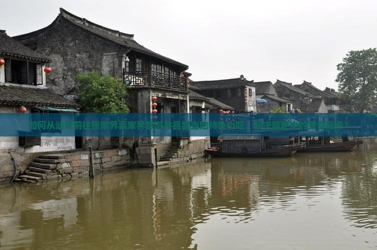 如何从汕尾前往张家界袁家界旅游并品尝当地特色小吃，解决旅途中的美食痛点？