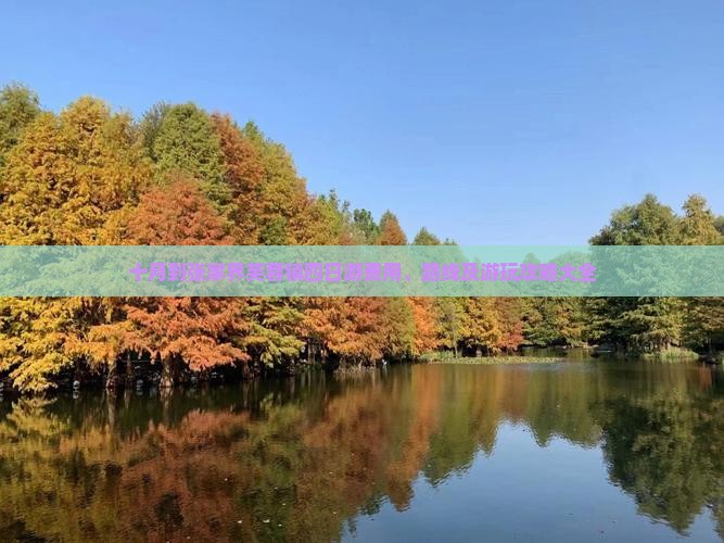 十月到张家界芙蓉镇四日游费用、路线及游玩攻略大全