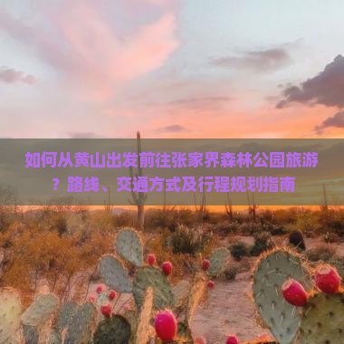 如何从黄山出发前往张家界森林公园旅游？路线、交通方式及行程规划指南