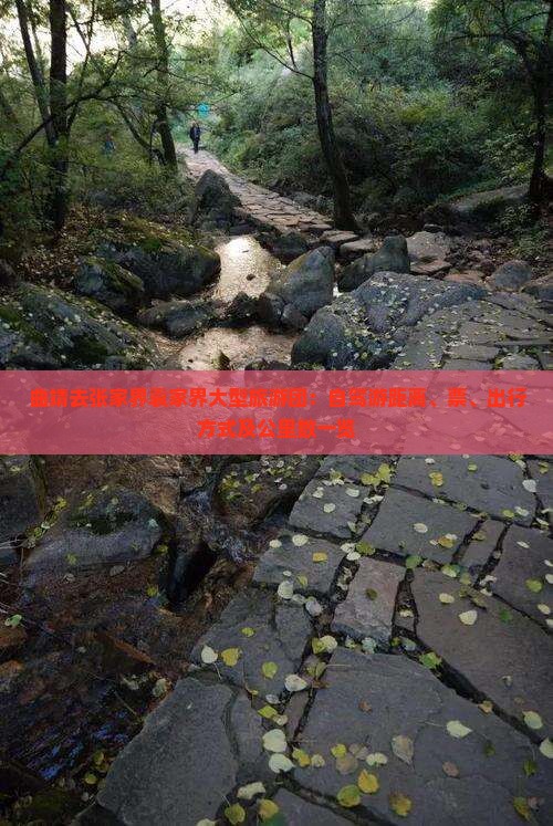 曲靖去张家界袁家界大型旅游团：自驾游距离、票、出行方式及公里数一览