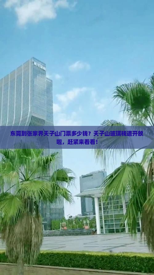 东莞到张家界天子山门票多少钱？天子山玻璃栈道开放啦，赶紧来看看！