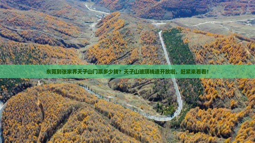 东莞到张家界天子山门票多少钱？天子山玻璃栈道开放啦，赶紧来看看！