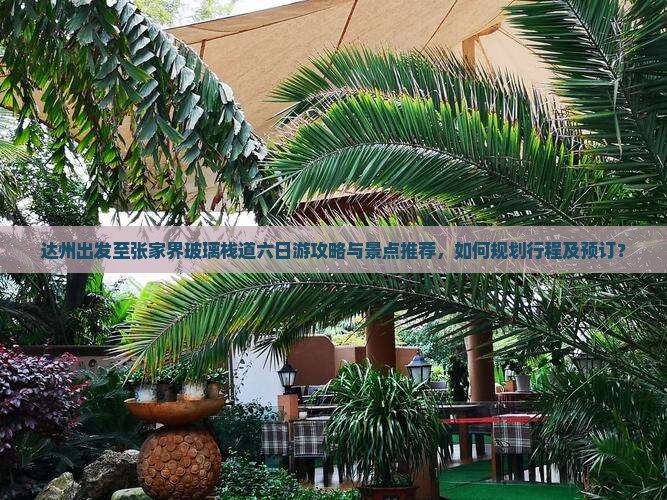 达州出发至张家界玻璃栈道六日游攻略与景点推荐，如何规划行程及预订？