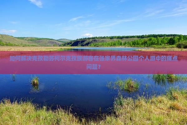 如何解决克孜勒苏柯尔克孜族游客在张家界森林公园个人游中的痛点问题？