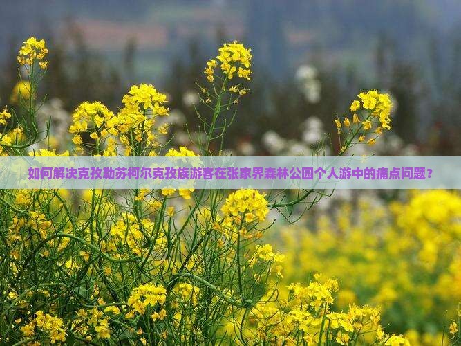 如何解决克孜勒苏柯尔克孜族游客在张家界森林公园个人游中的痛点问题？