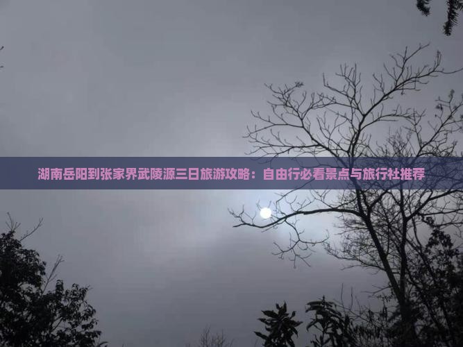 湖南岳阳到张家界武陵源三日旅游攻略：自由行必看景点与旅行社推荐