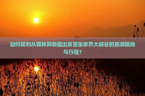 如何规划从锡林郭勒盟出发至张家界大峡谷的旅游路线与行程？