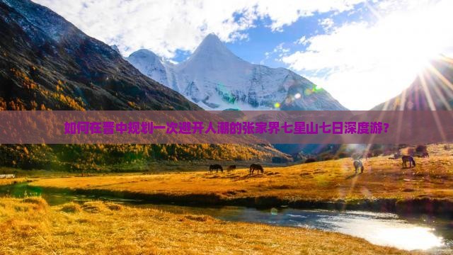 如何在晋中规划一次避开人潮的张家界七星山七日深度游？