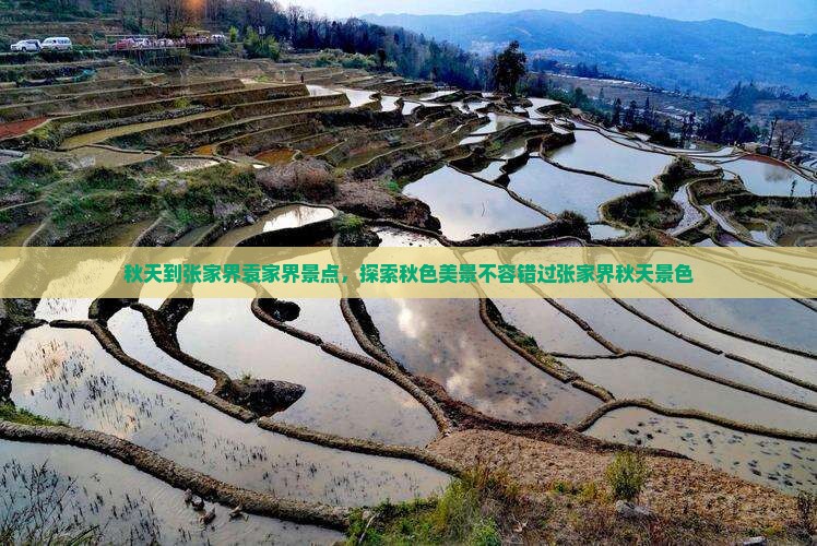 秋天到张家界袁家界景点，探索秋色美景不容错过张家界秋天景色