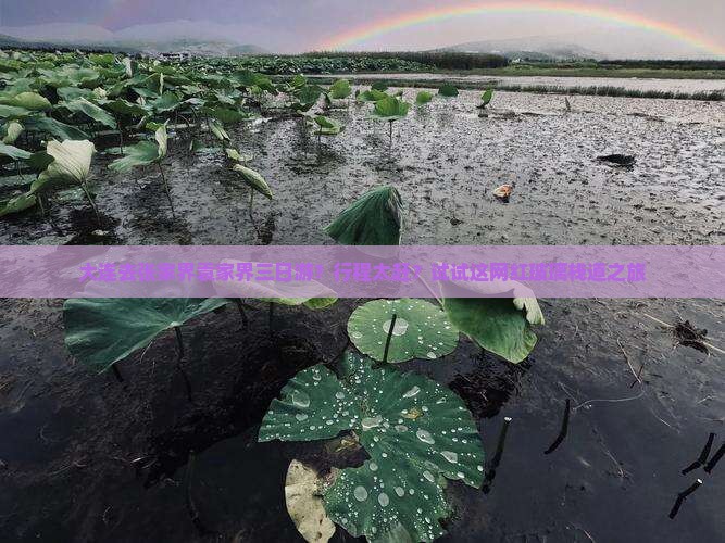 大连去张家界袁家界三日游？行程太赶？试试这网红玻璃栈道之旅