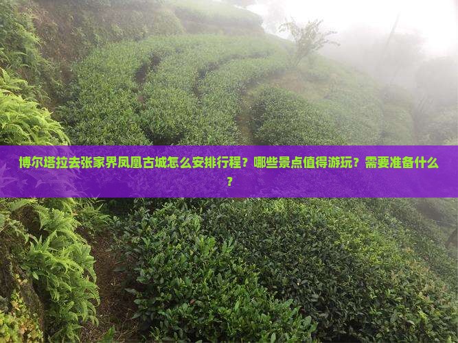 博尔塔拉去张家界凤凰古城怎么安排行程？哪些景点值得游玩？需要准备什么？