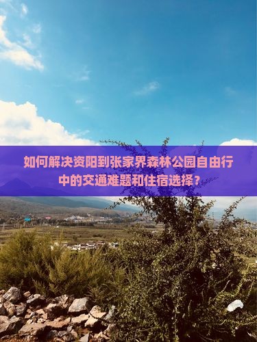 如何解决资阳到张家界森林公园自由行中的交通难题和住宿选择？