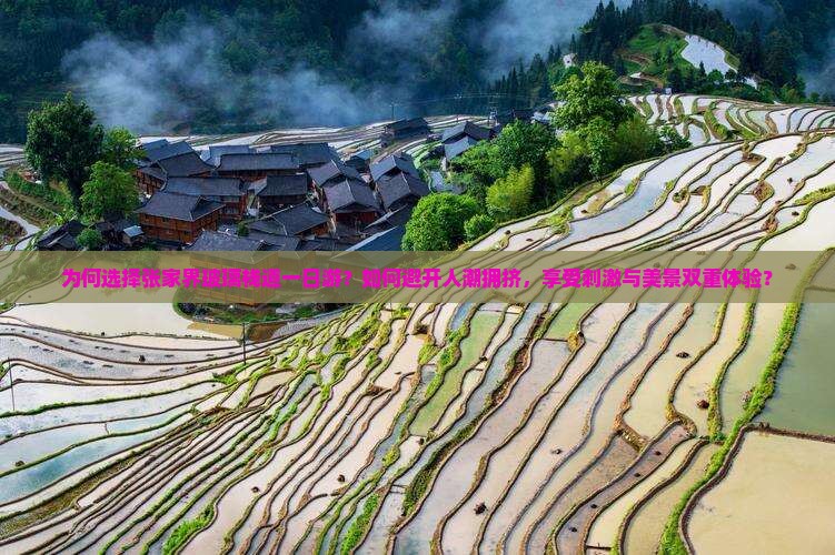 为何选择张家界玻璃栈道一日游？如何避开人潮拥挤，享受刺激与美景双重体验？