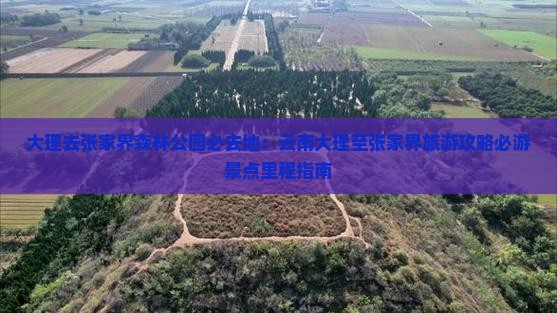 大理去张家界森林公园必去地：云南大理至张家界旅游攻略必游景点里程指南