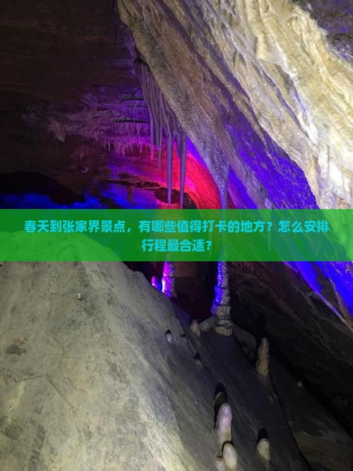 春天到张家界景点，有哪些值得打卡的地方？怎么安排行程最合适？