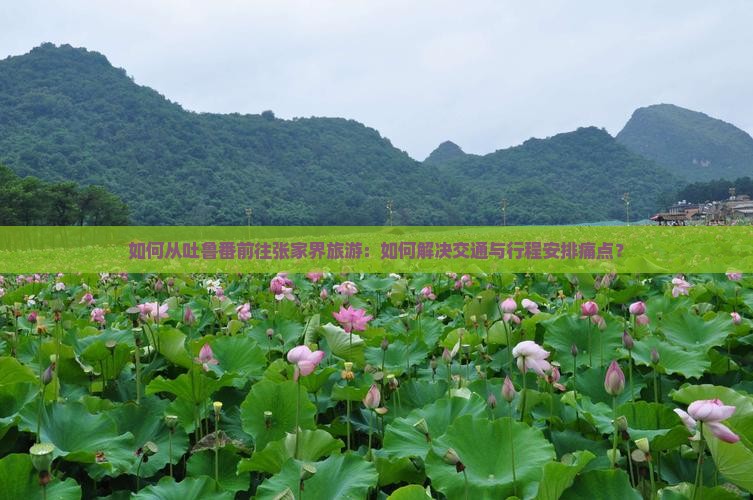 如何从吐鲁番前往张家界旅游：如何解决交通与行程安排痛点？