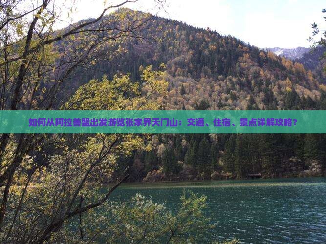 如何从阿拉善盟出发游览张家界天门山：交通、住宿、景点详解攻略？