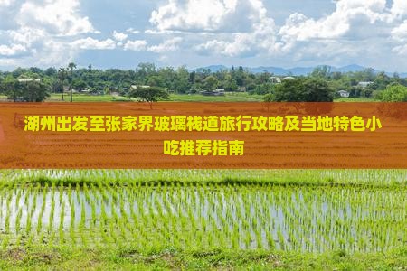 湖州出发至张家界玻璃栈道旅行攻略及当地特色小吃推荐指南