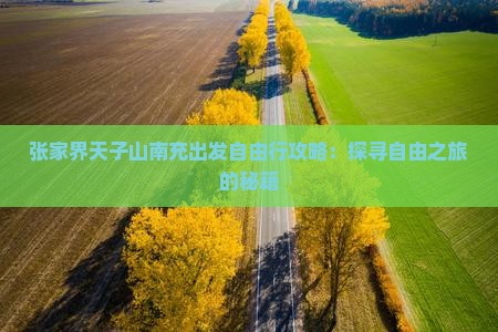 张家界天子山南充出发自由行攻略：探寻自由之旅的秘籍