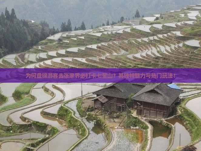 为何盘锦游客去张家界必打卡七星山？其独特魅力与热门玩法！