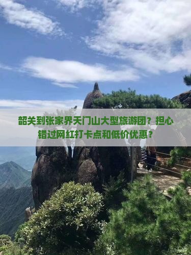 韶关到张家界天门山大型旅游团？担心错过网红打卡点和低价优惠？